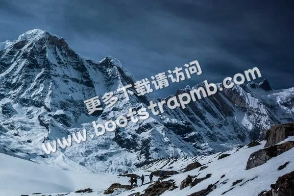 ⊞ Portfolio - 世界杯实时比分