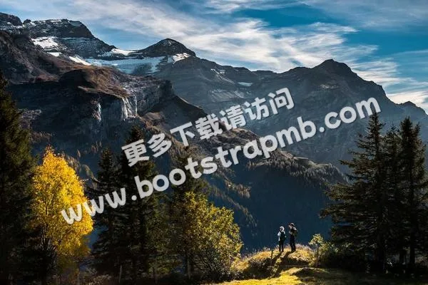 ⊞ Portfolio - 世界杯实时比分